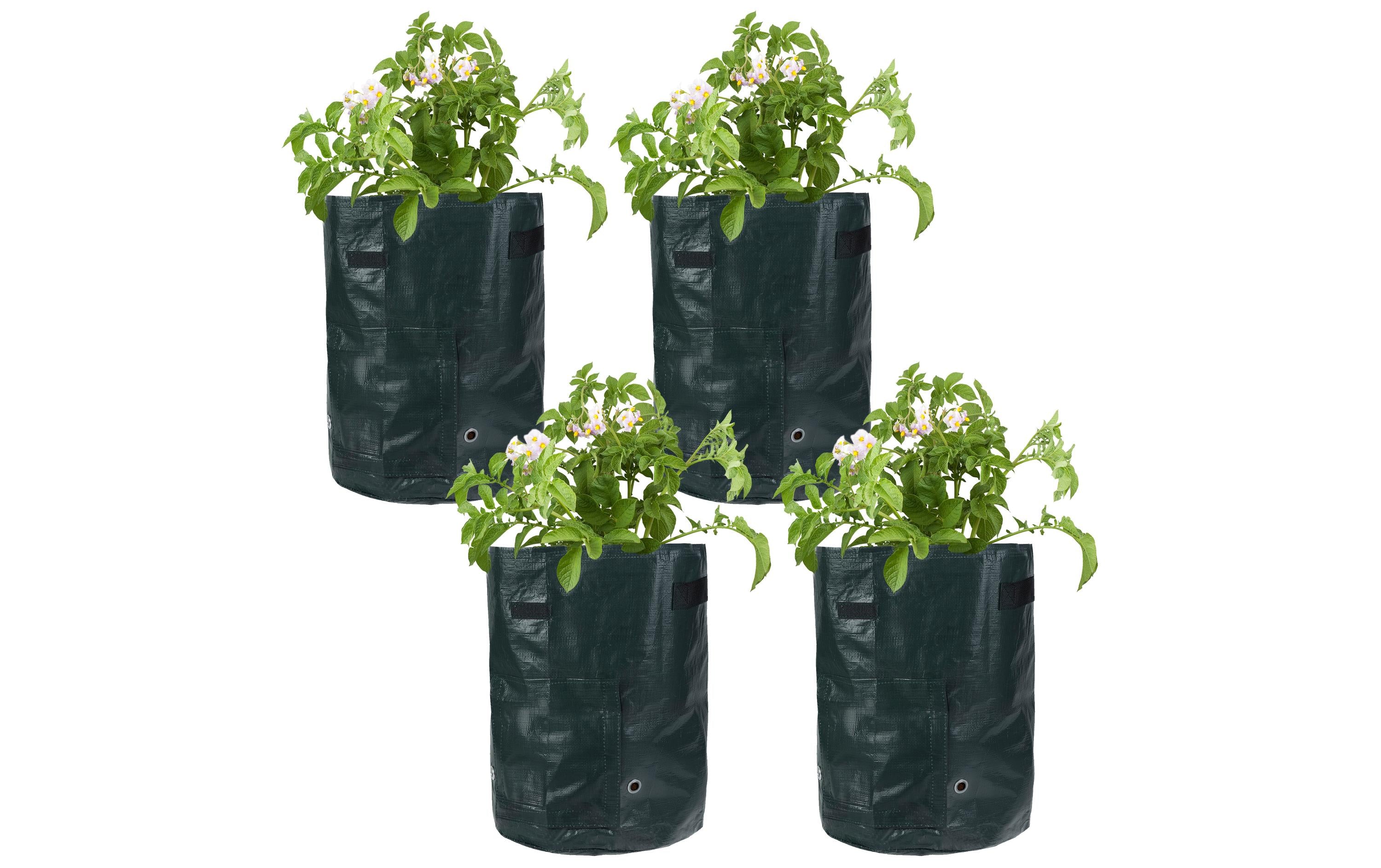 STRUCT Pflanzentasche 4er Set PE dunkelgrün, 35x35x45cm