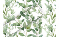 B+C Geschenkpapier 2mx70cm 70 gm2, Soft Greeen