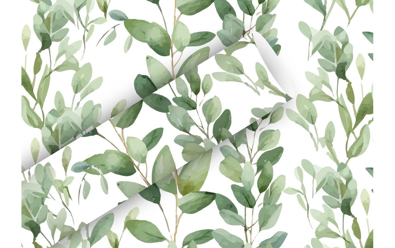 B+C Geschenkpapier 2mx70cm 70 gm2, Soft Greeen