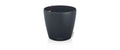 CLASSICO Color 60