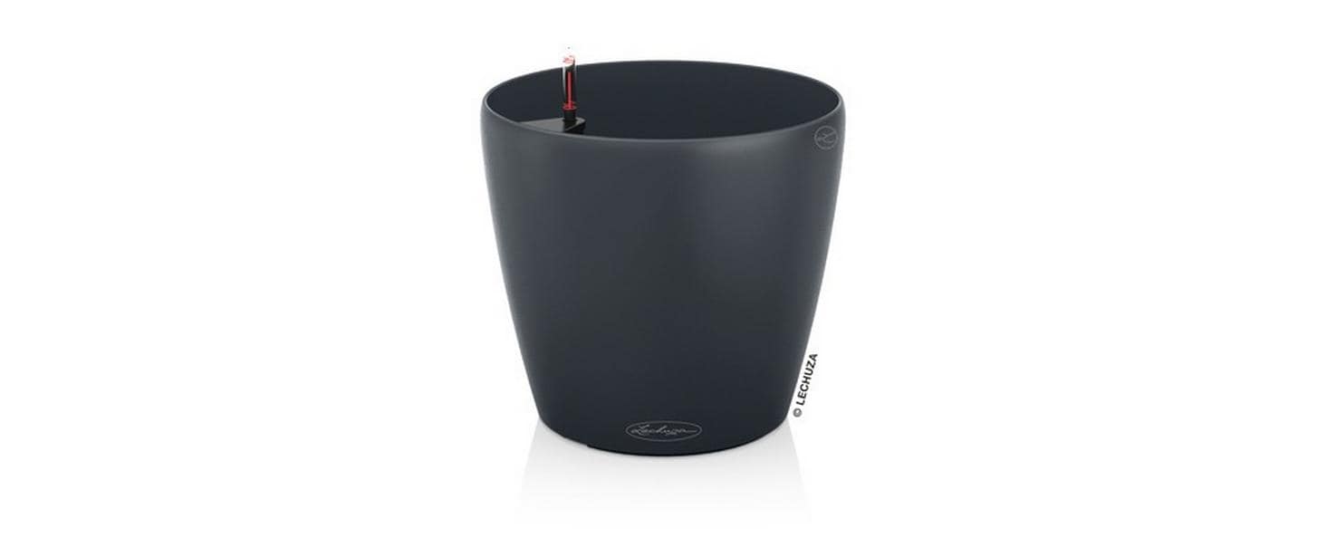 CLASSICO Color 60