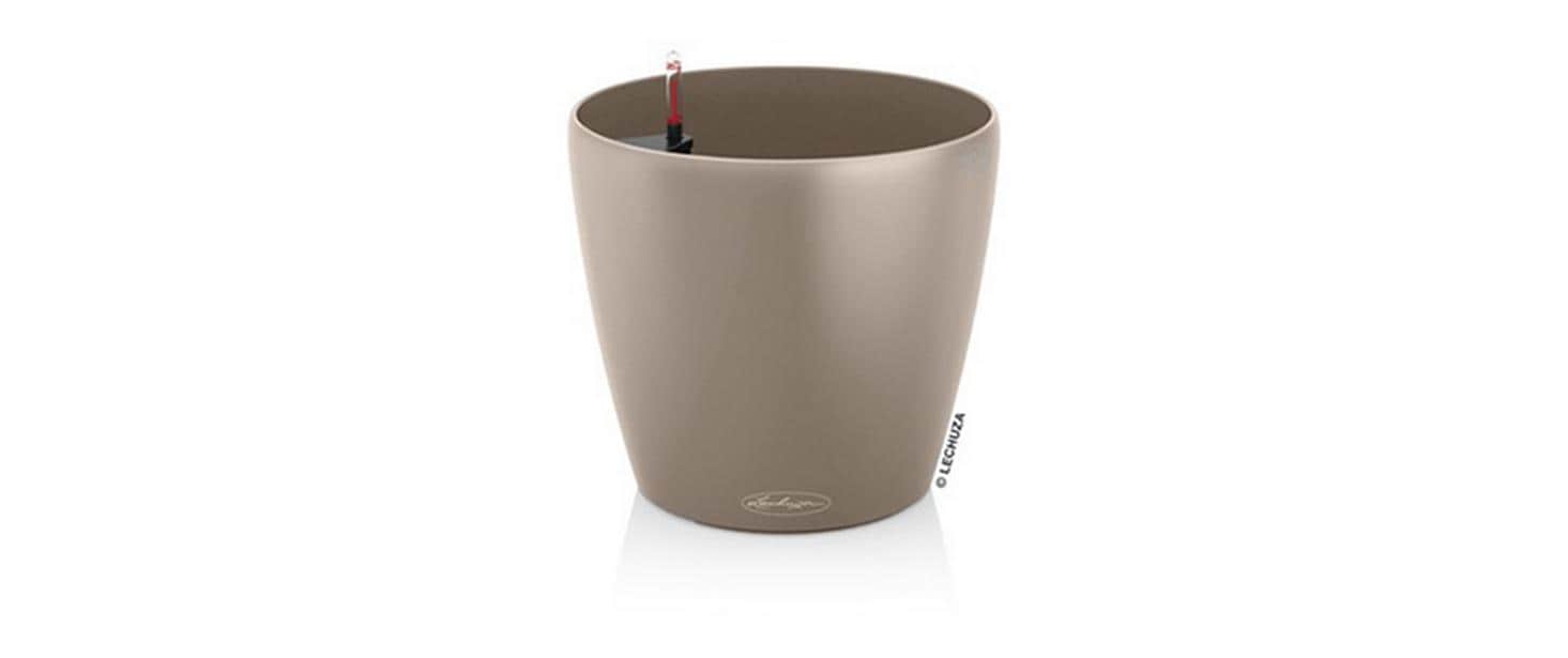 CLASSICO Color 18