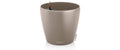 CLASSICO Color 35