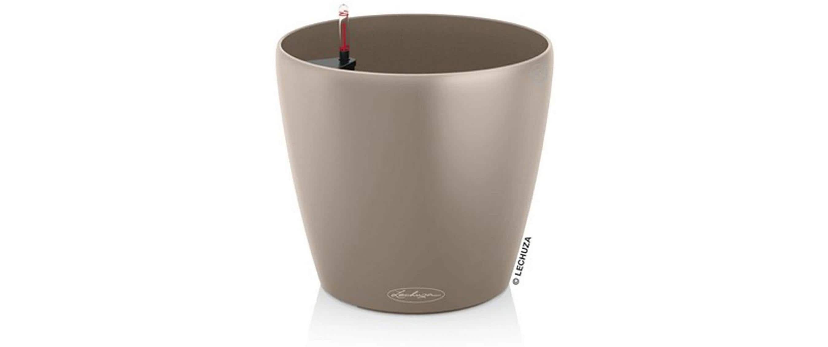 CLASSICO Color 35