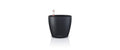 CLASSICO Color 14