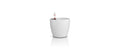 Webstar Mini-Schale Pagoda 25 Stk PS, transparent, 90 ml, 62 x 62 mm