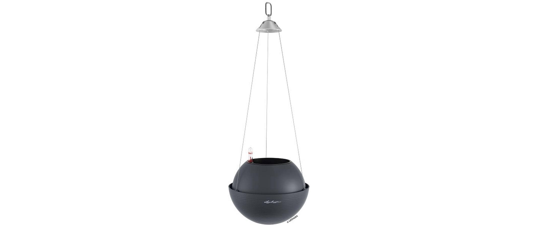 BOLA Color 23
