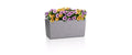 BALCONERA Stone 40