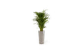 Ecopots Amsterdam High Robuster und langlebiger Blumentopf