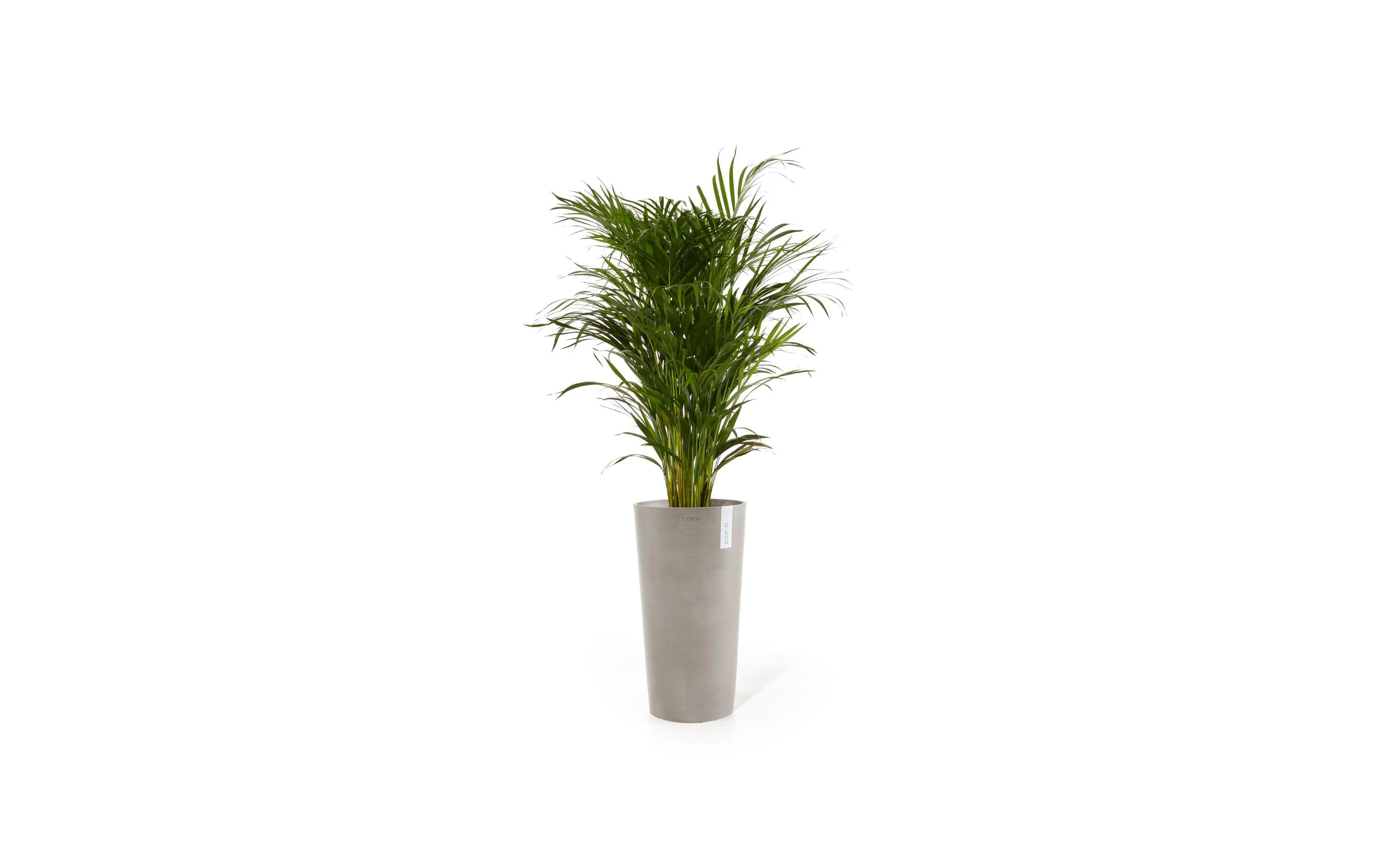 Ecopots Amsterdam High Robuster und langlebiger Blumentopf