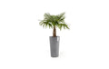 Ecopots Amsterdam High Robuster und langlebiger Blumentopf