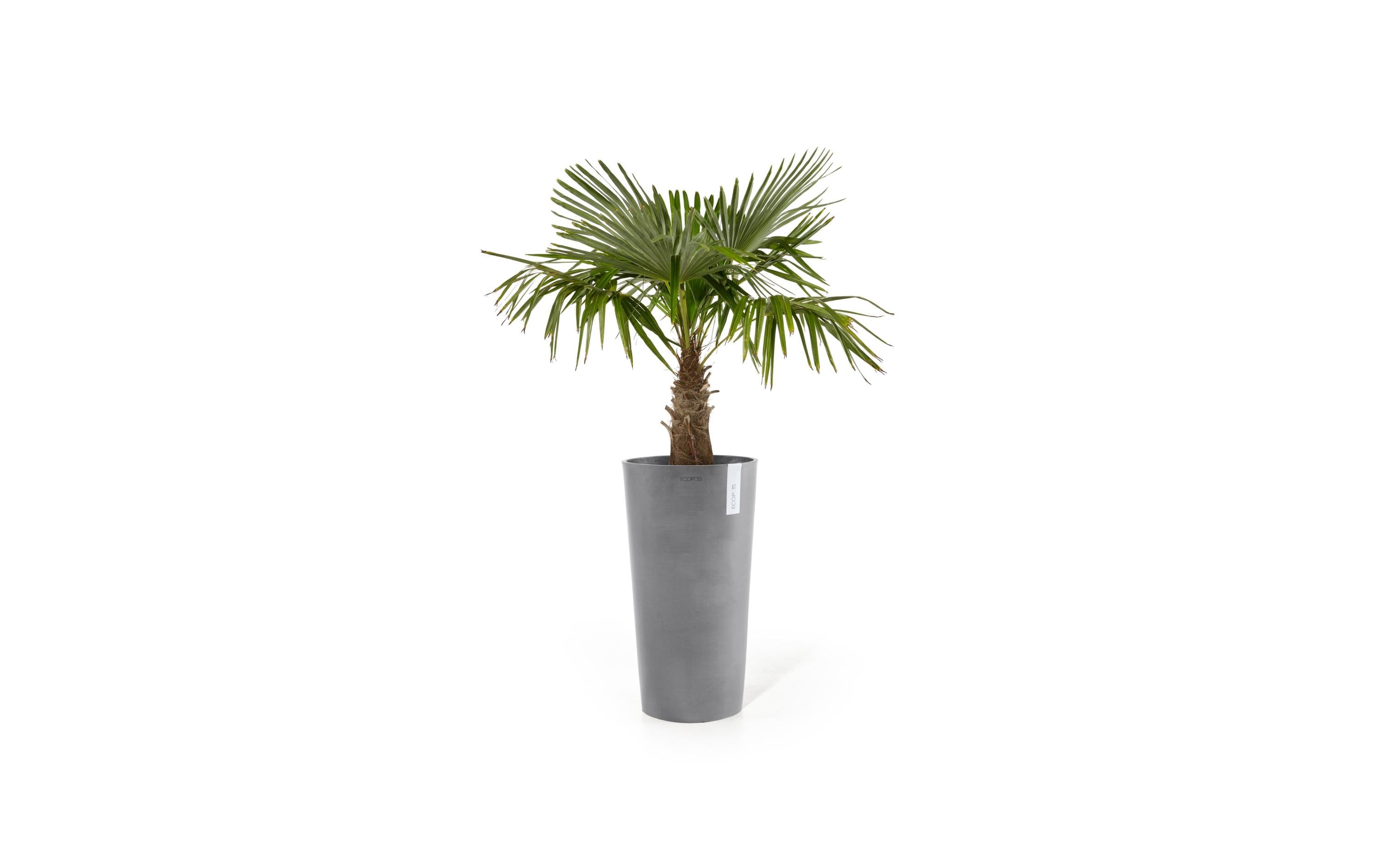 Ecopots Amsterdam High Robuster und langlebiger Blumentopf