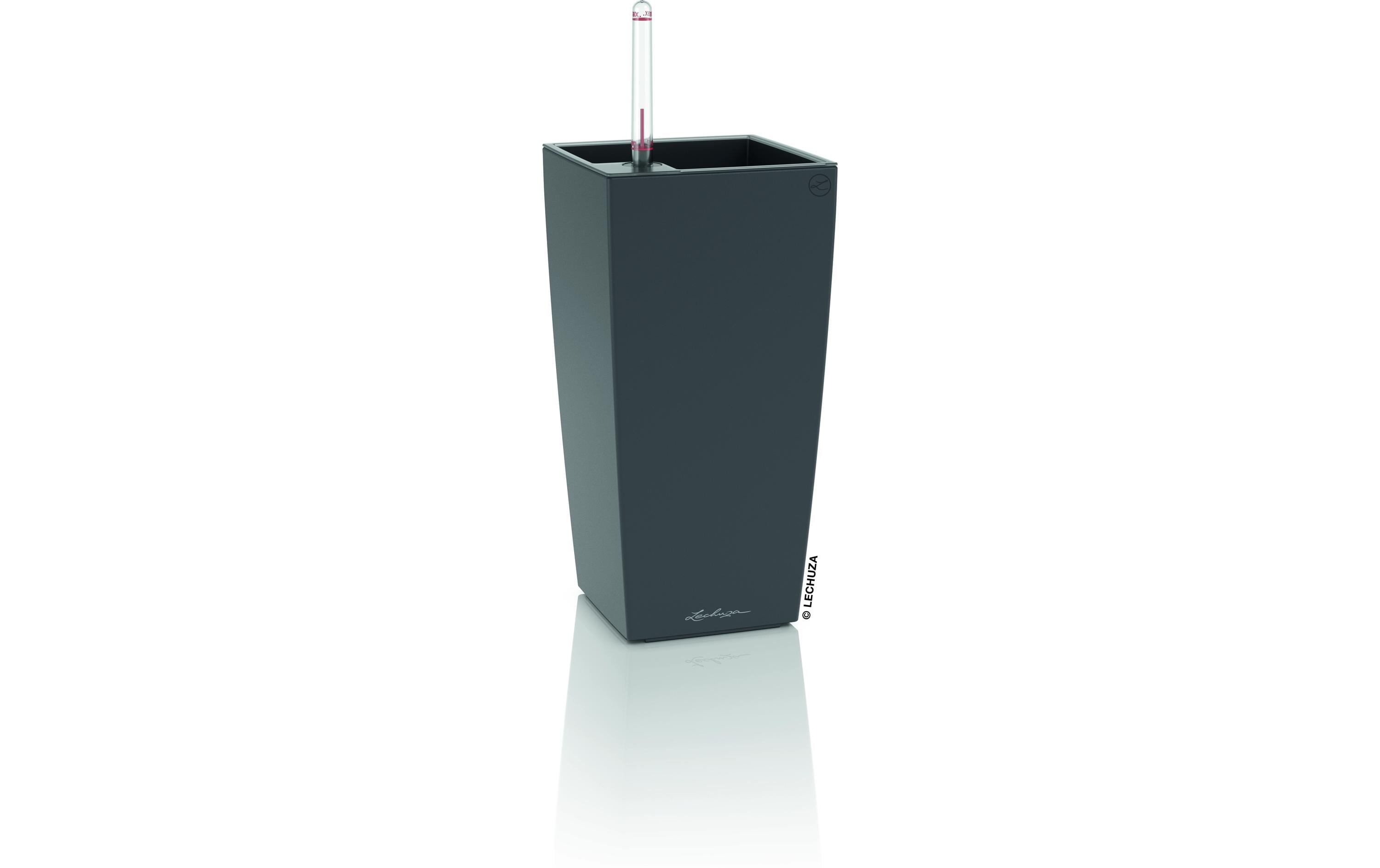 MAXI-CUBI