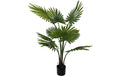 present time Kunstpflanze Fan Palm Kunststoff