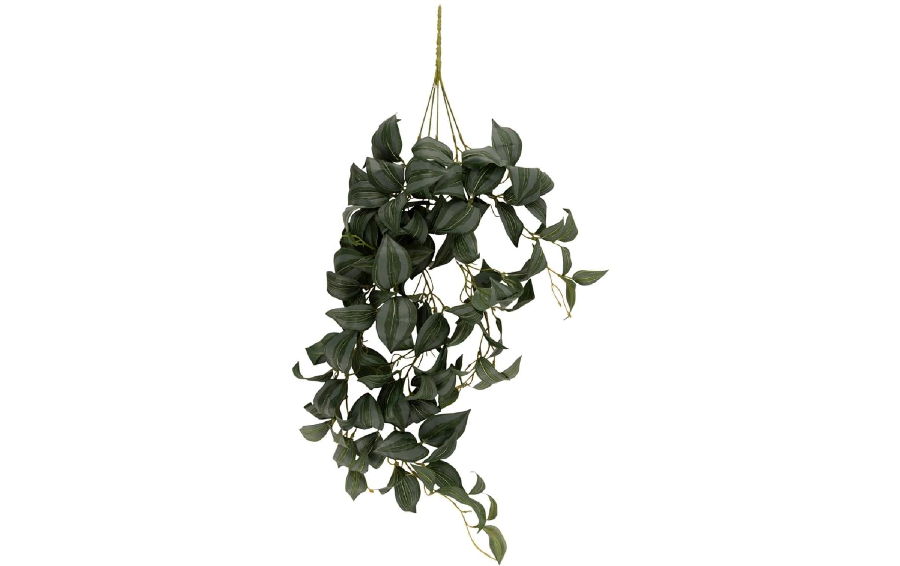 present time Kunstplanze Tradescantia Kunststoff, 27.9 x 76.2 cm (BxH)