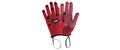 Handschuhe Ladybird Anabel 5/6 Jahre