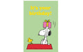 B+C Geburtstagskarte Snoopy 11.5 x 17 cm
