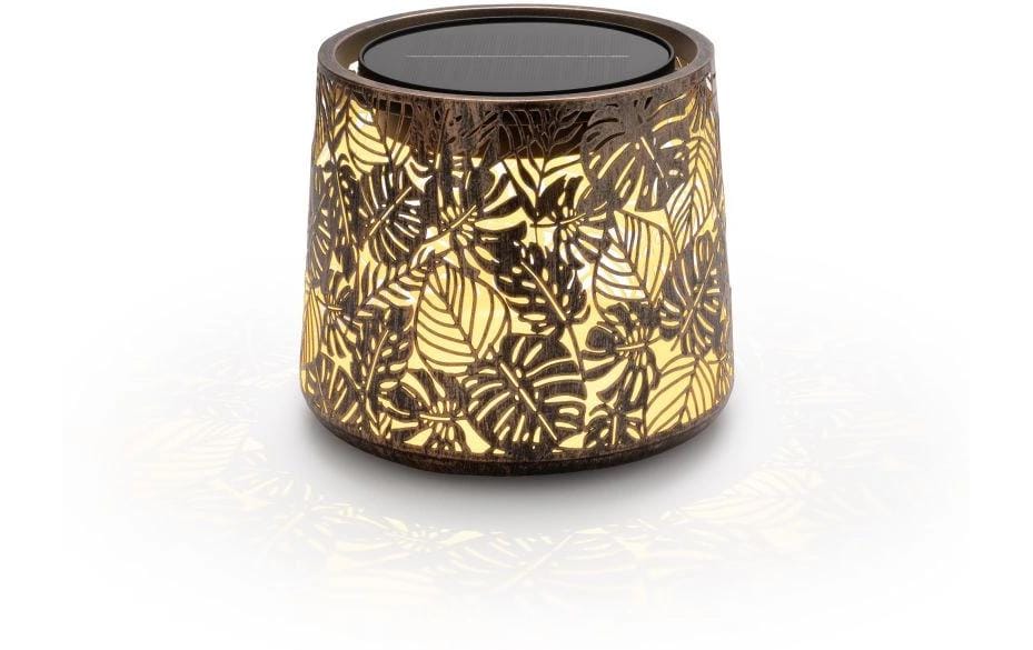STT  Solar Antic Mini Jungle