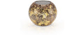 STT  Solar Antic Globe Jungle