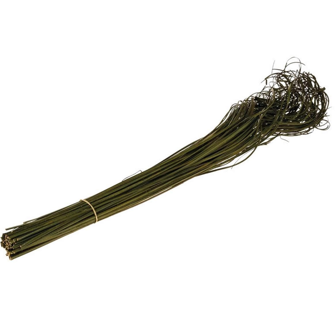Opiflor Curly Ting moosgrün, 70 cm