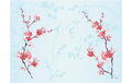 Duni Tischset Bio DSF Cherry Breeze 30x40cm, 100 Stk.