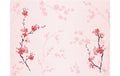 Duni Tischset Papier Cherry Breeze 30x40cm, 250 Stk.