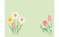 Duni Tischset Bio DSF Spring Melody 30x40cm, 100 Stk.