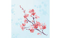 Duni Servietten Bio DSF Cherry Breeze 40x40cm, 60 Stk.