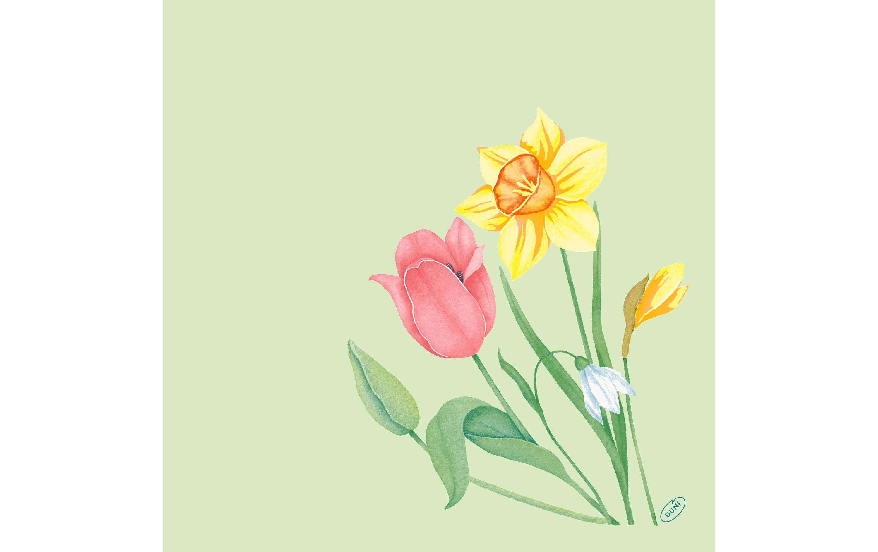 Duni Servietten Bio DSF Spring Melody 40x40cm, 60 Stk.