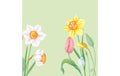 Duni Servietten 4-lagig Spring Melody 40x40cm, 50 Stk.
