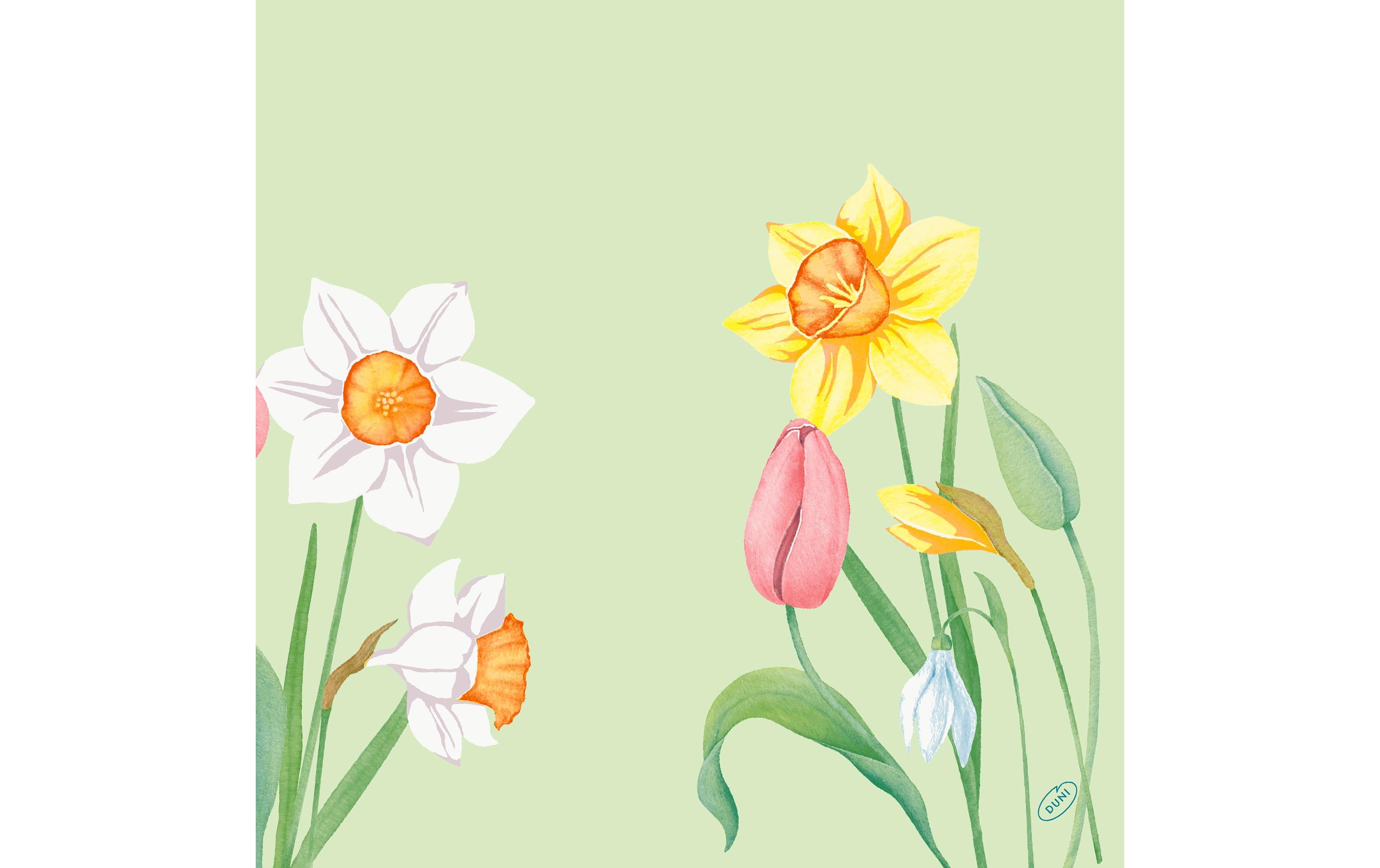 Duni Servietten 4-lagig Spring Melody 40x40cm, 50 Stk.