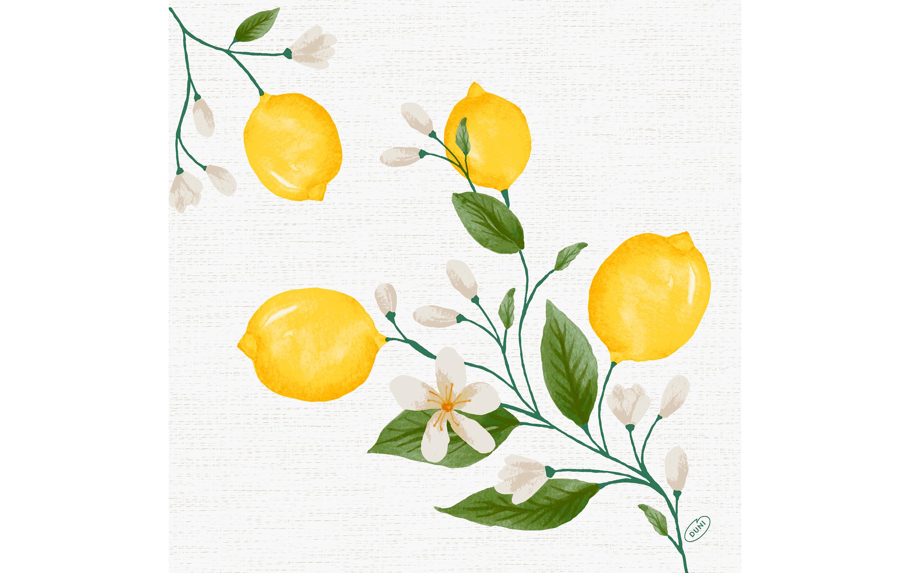 Duni Servietten Bio DSF Lemon Fiesta 40x40cm, 60 Stk.