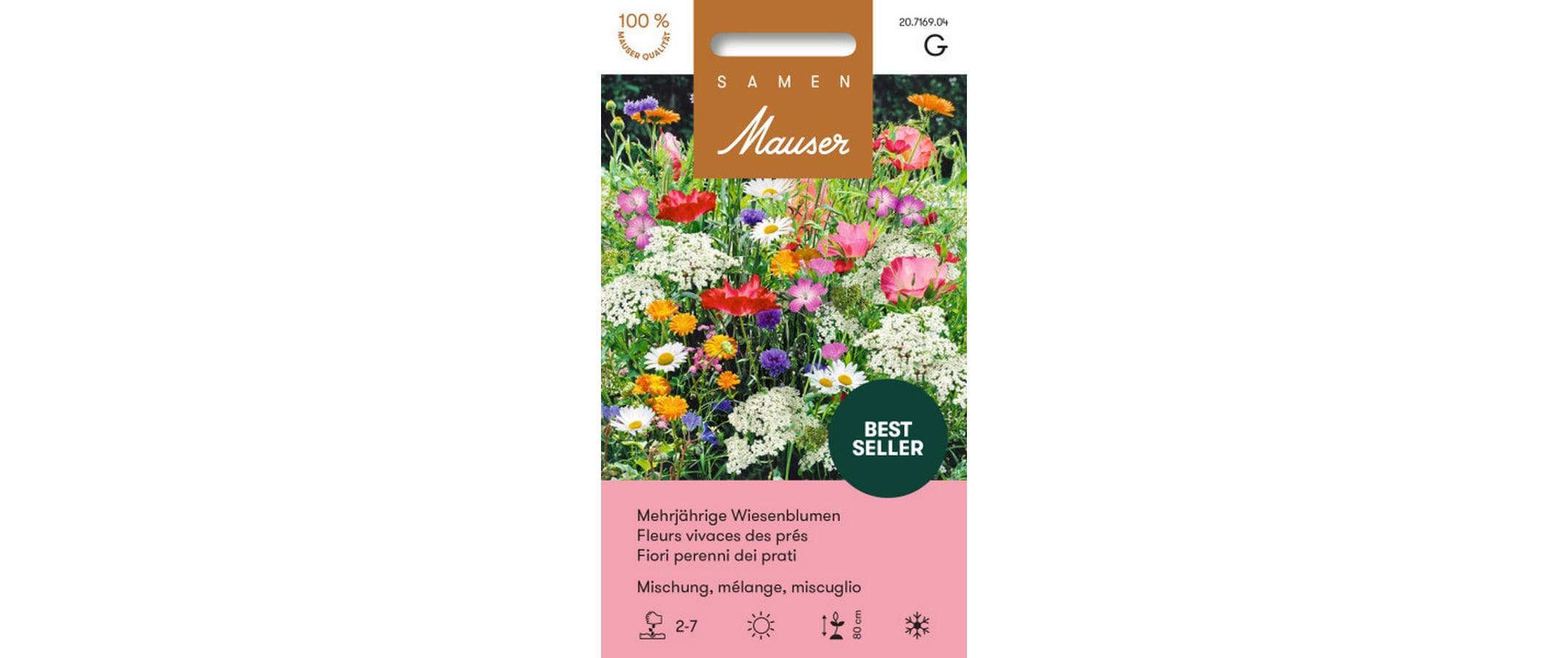 Mehrjährige Wiesenblumen Mischung