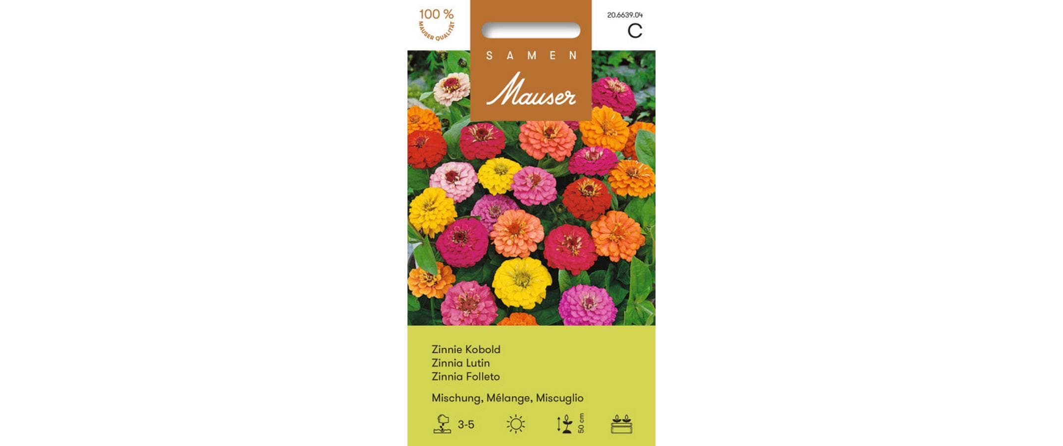 Zinnie Kobold Mischung Zinnia elegans