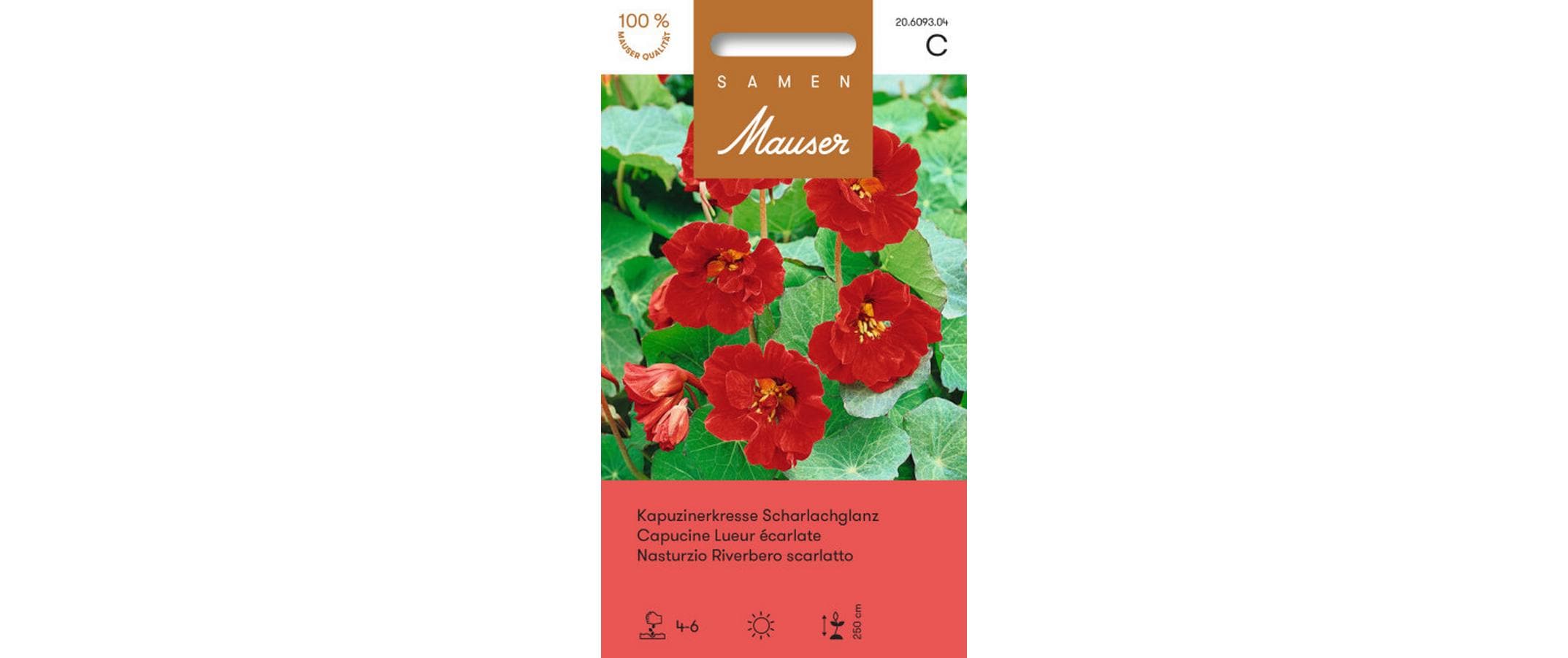 Kapuzinerkresse Scharlachglanz Tropaeolum majus