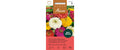 Zinnie dahlienblütige Riesen Mischung Zinnia elegans