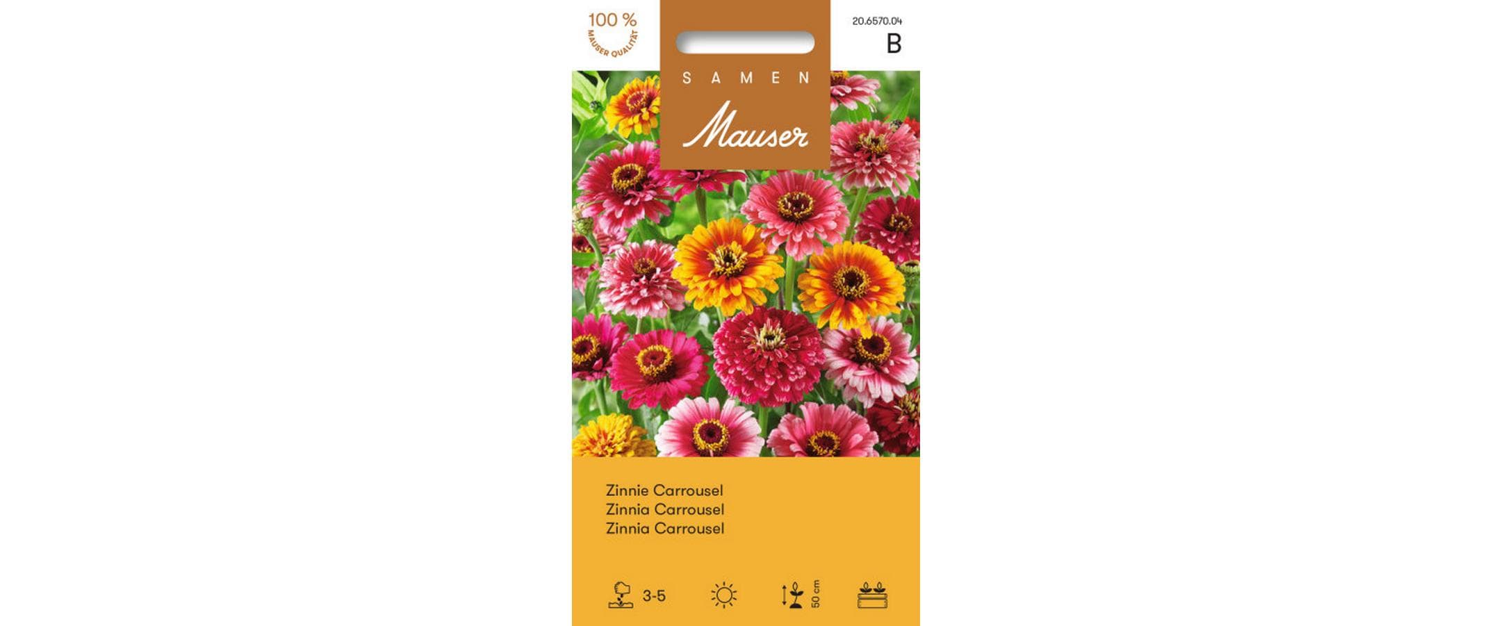 Zinnie Carrousel Zinnia elegans
