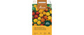 Tagetes Sparky Mischung Tagetes patula