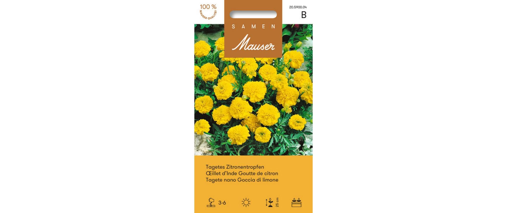 Tagetes Zitronentropfen Tagetes patula