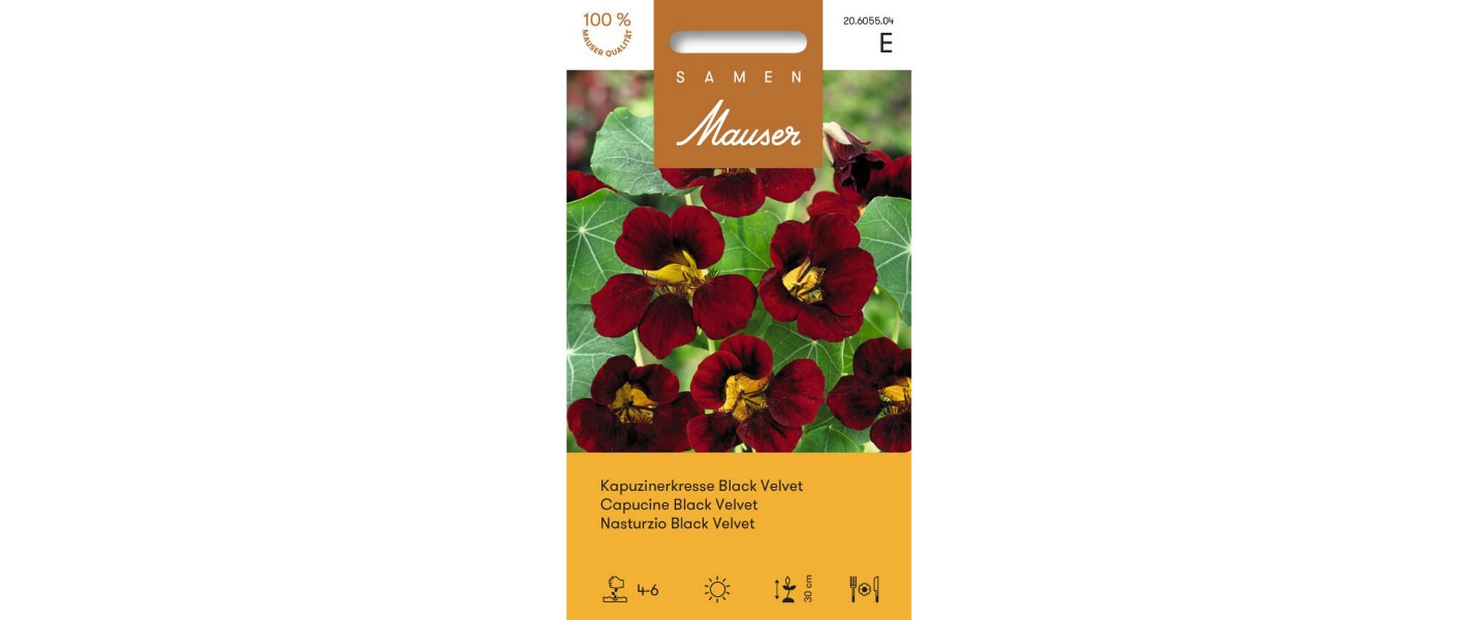 Kapuzinerkresse Black Velvet Tropaeolum minus