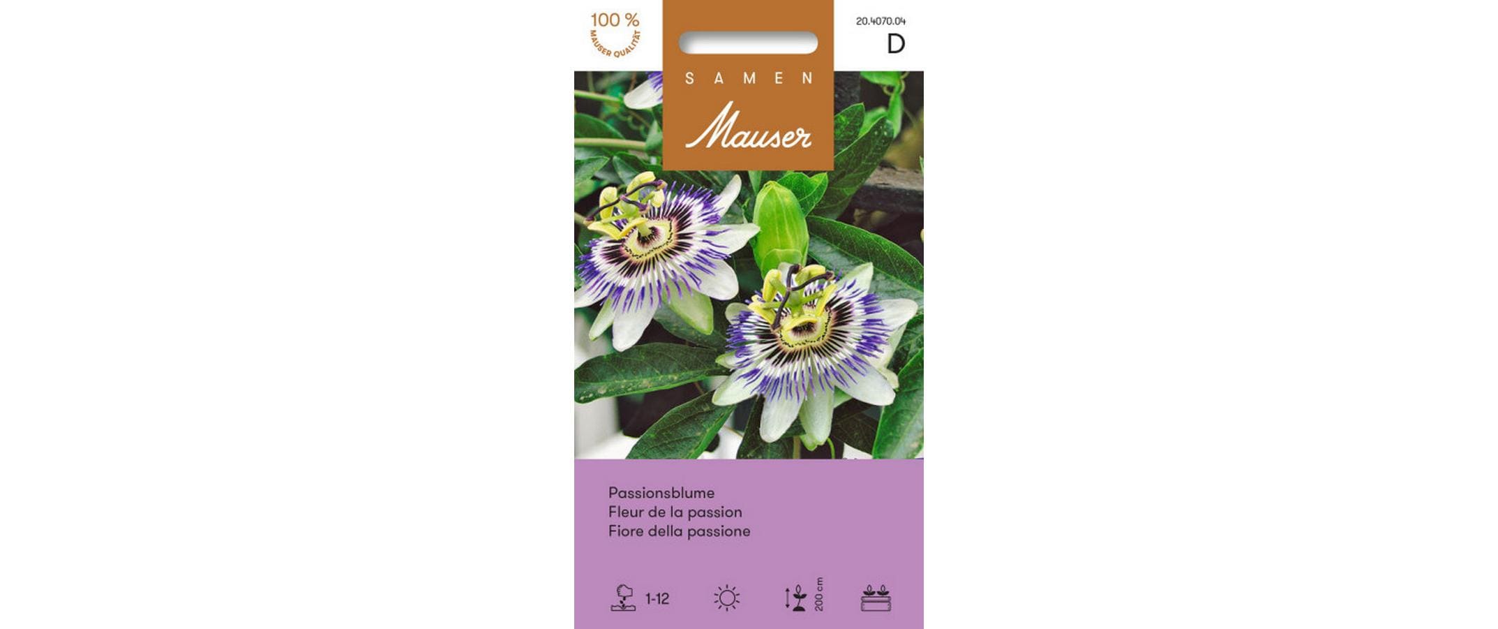 Passionsblume Passiflora caerulea