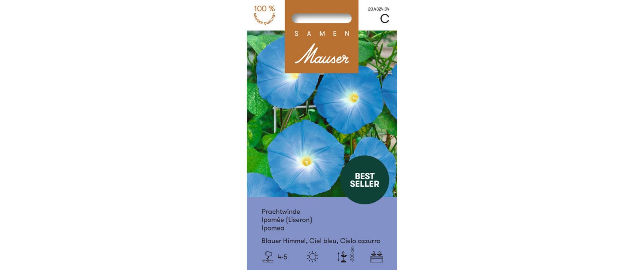 Prachtwinde Blauer Himmel Ipomoea tricolor