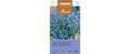 Vergissmeinnicht Blauer Ball Myosotis alpestris