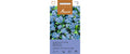Vergissmeinnicht niedrig, indigoblau Myosotis indigo compacta