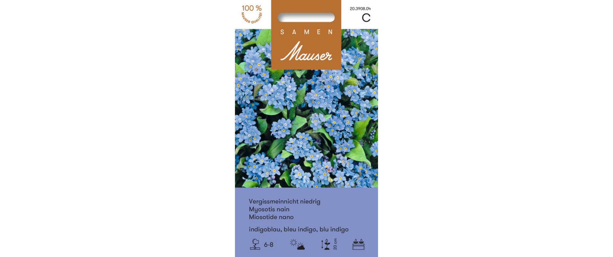 Vergissmeinnicht niedrig, indigoblau Myosotis indigo compacta