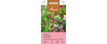 Edelwicke Mausers Spezialmischung Lathyrus odoratus