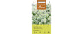 Duftsteinkraut Schneeteppich Lobularia maritima