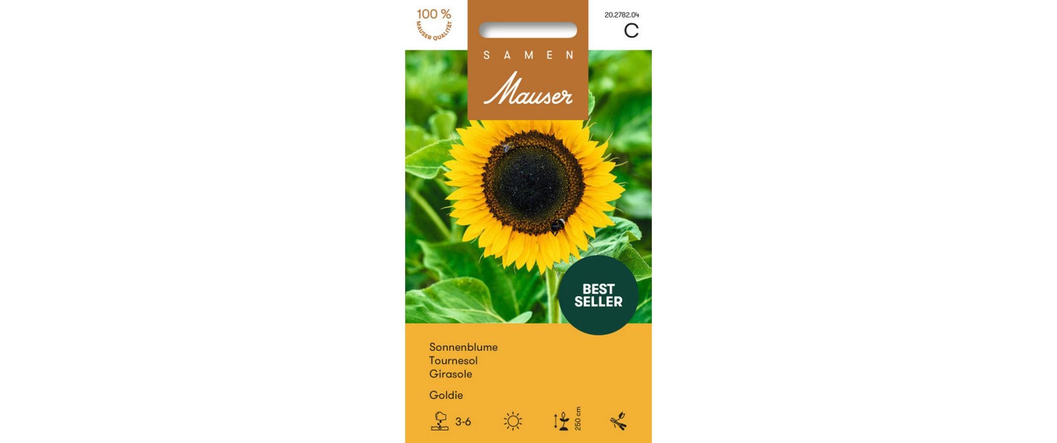Sonnenblume Goldie Helianthus annuus