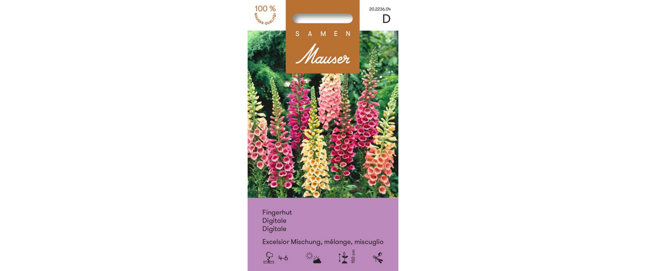 Fingerhut Excelsior Mischung Digitalis purpurea