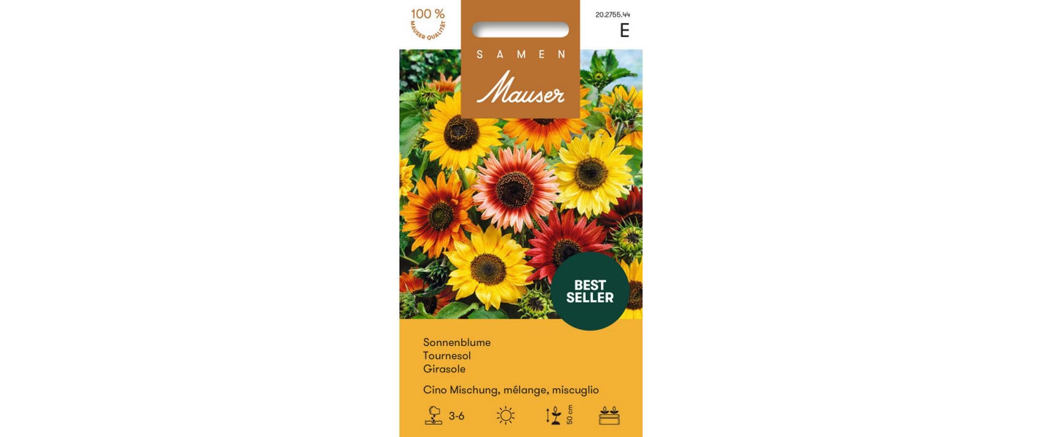 Sonnenblume Cino Misch. Helianthus annuus